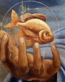 Pesce-Lucente_Botti